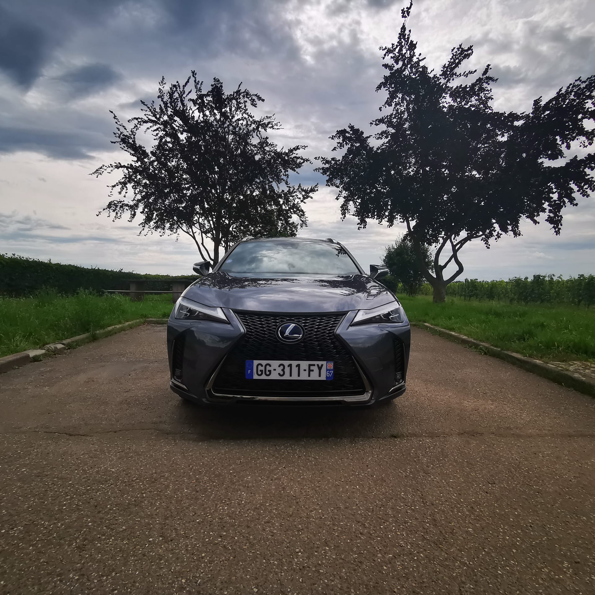 Lexus UX  250 H F-Sport Pack cuir — miniature 2