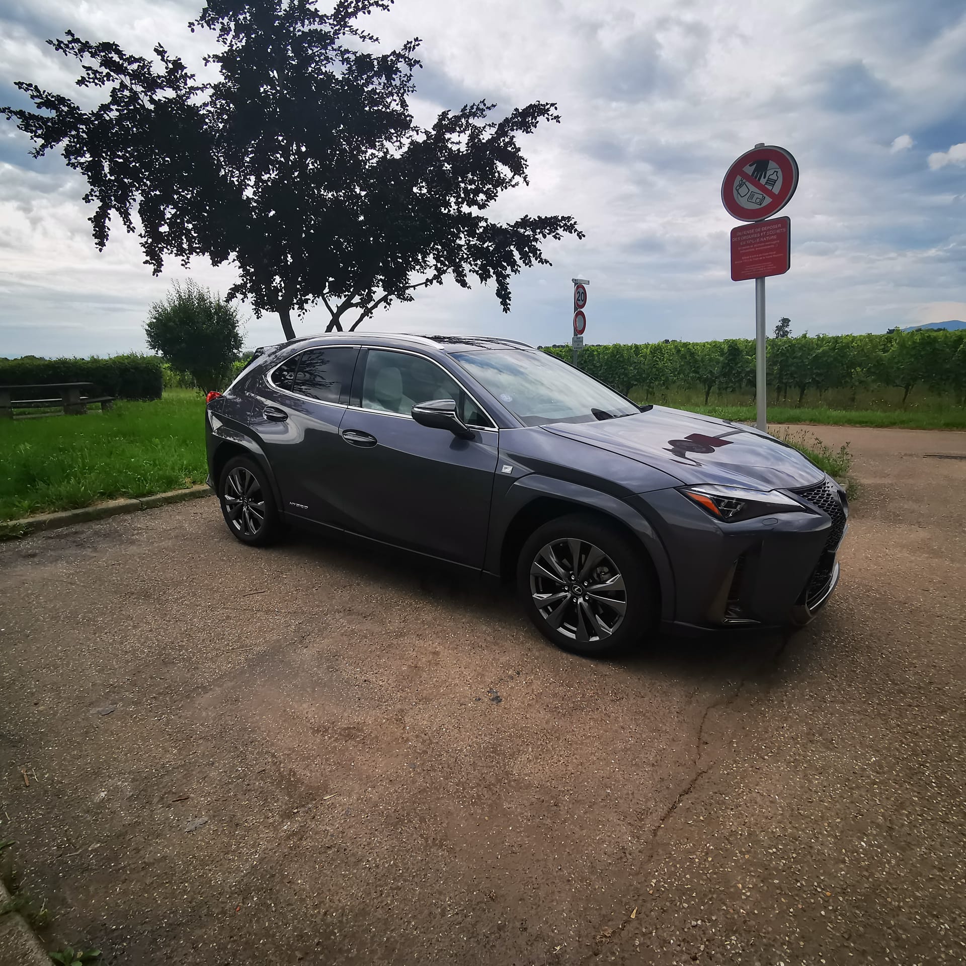 Lexus UX  250 H F-Sport Pack cuir — miniature 8