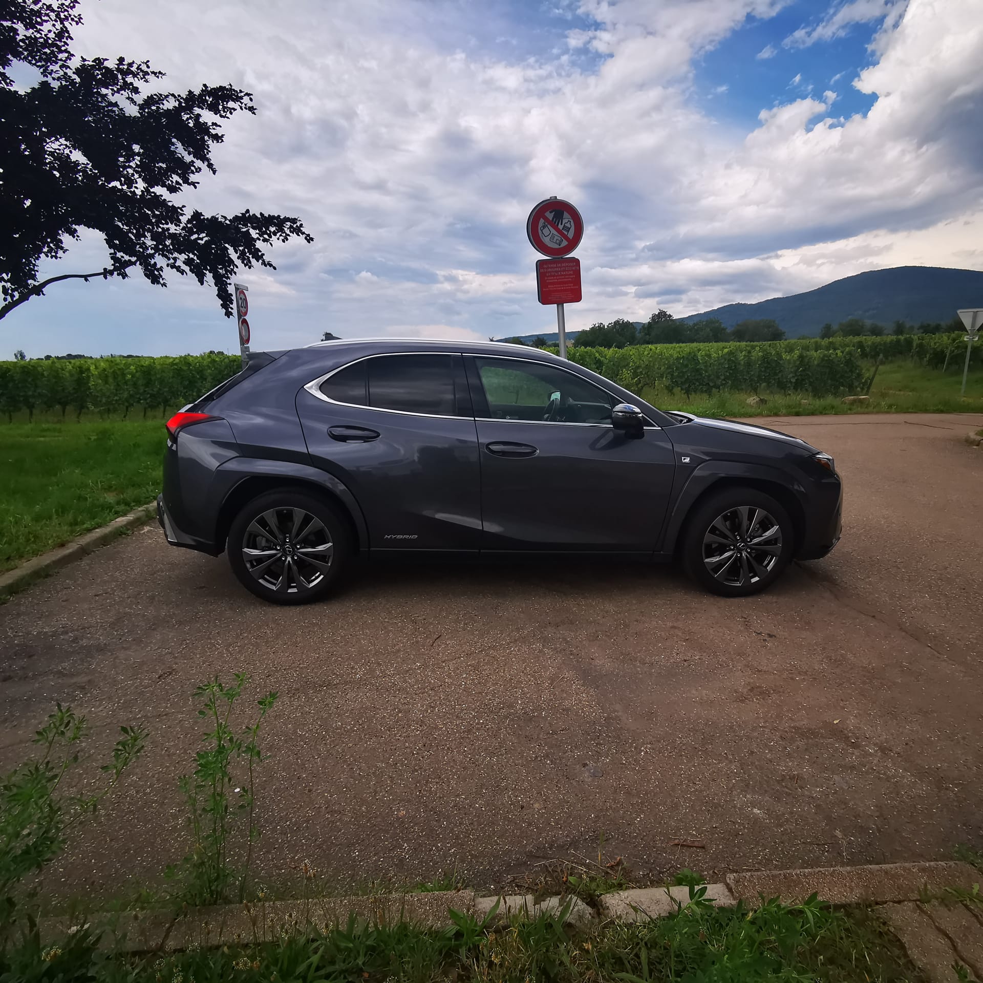 Lexus UX  250 H F-Sport Pack cuir — miniature 12
